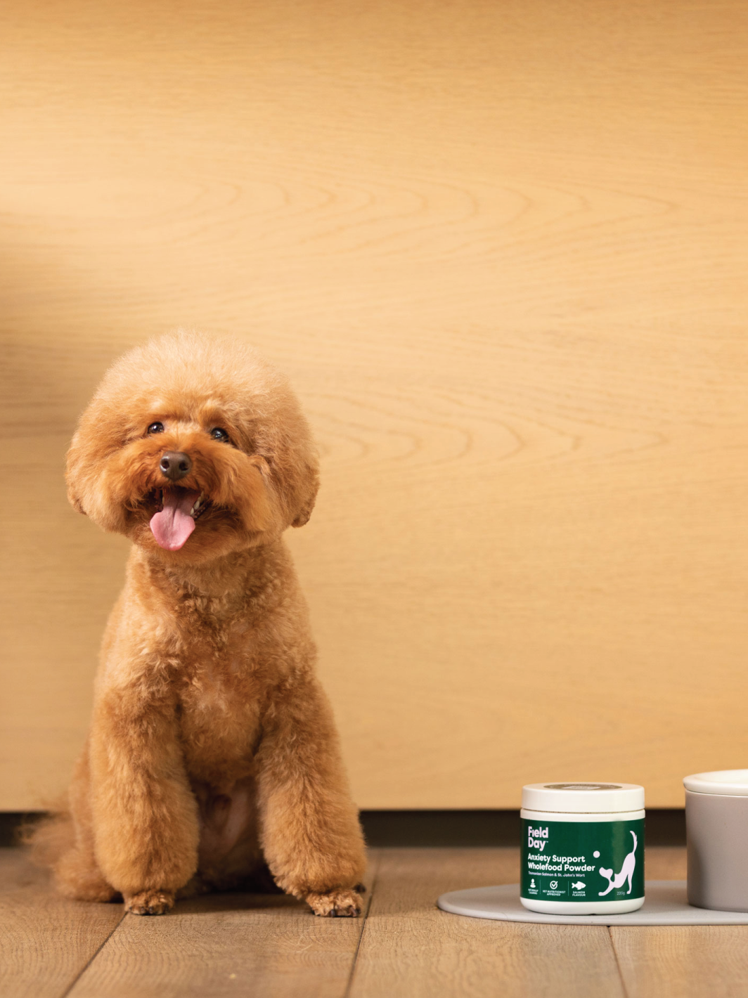 Things to do if your dogs home alone