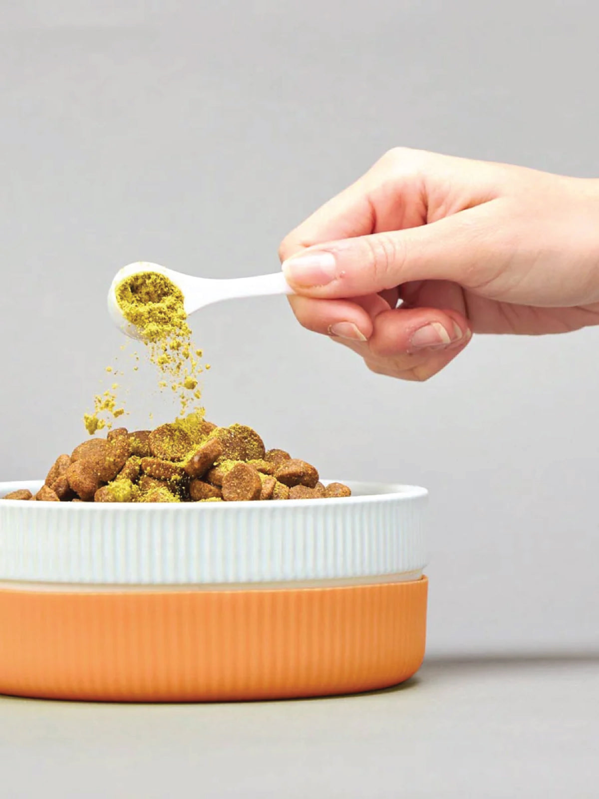Golden Spice for Golden Years: The Benefits of Turmeric for Your Dog's Health