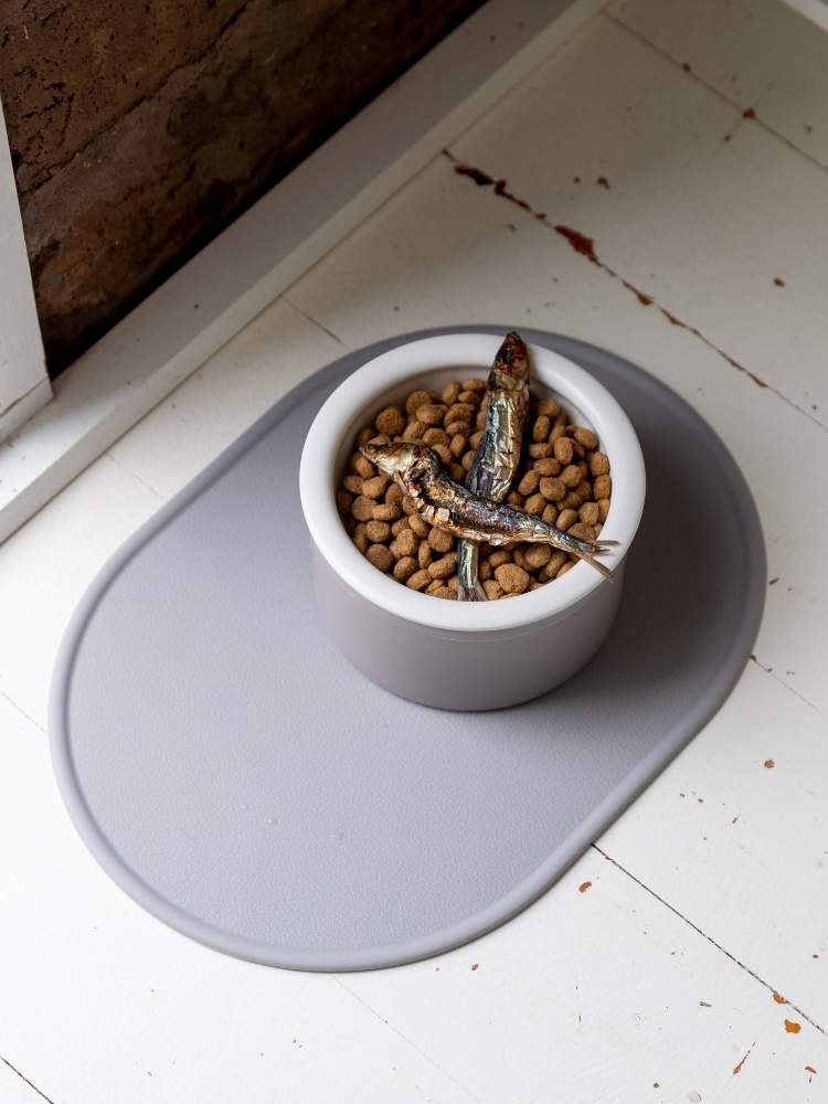 Dog Bowl & Mat Bundle