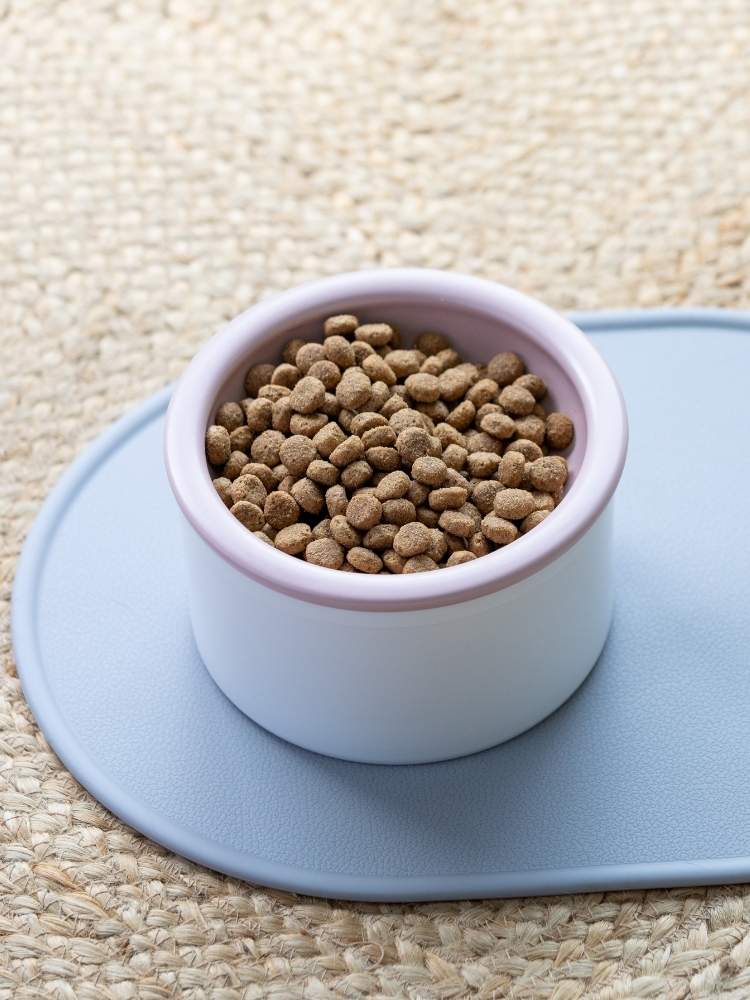 Dog Bowl Set - White & Pink