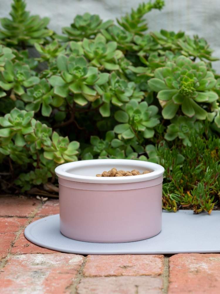 Dog Bowl Set - Pink & White