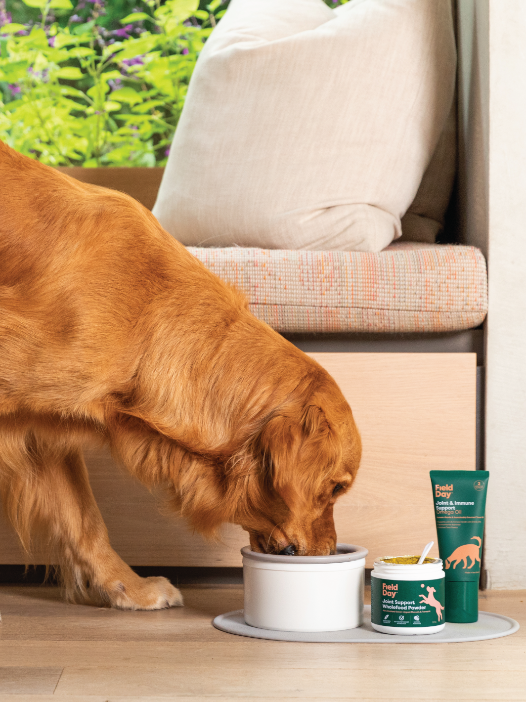 Joint Support Wholefood Powder - 220g