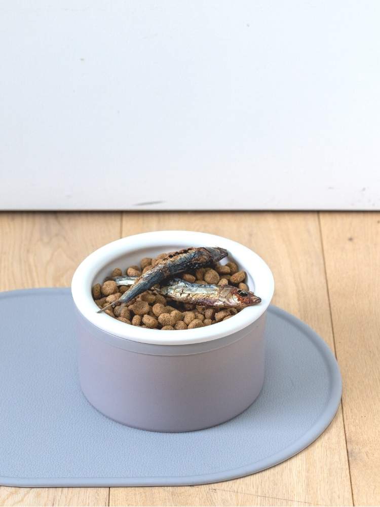 Dog Bowl Set - Grey & White