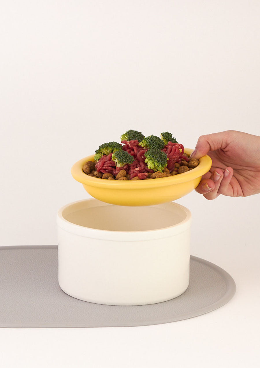 Dog Bowl Set - White & Yellow