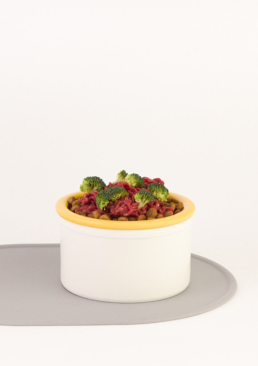 Dog Bowl Set - White & Yellow