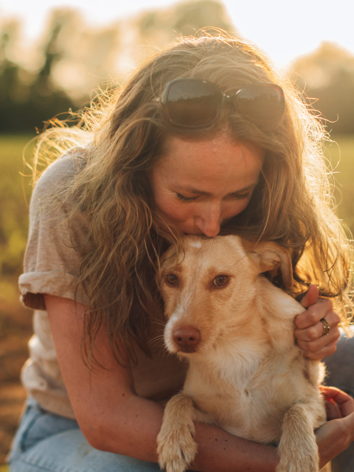 Which Dog Breeds Match YOUR Personality?