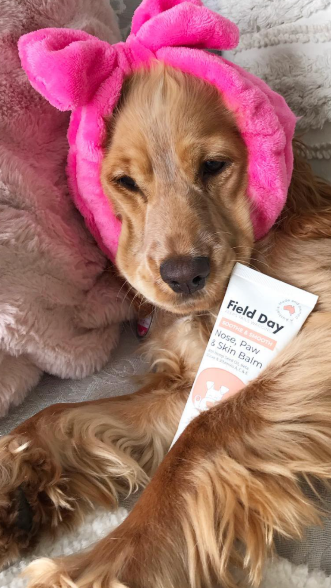 5 Easy Ways To Pamper Your Pooch This Valentine's Day.