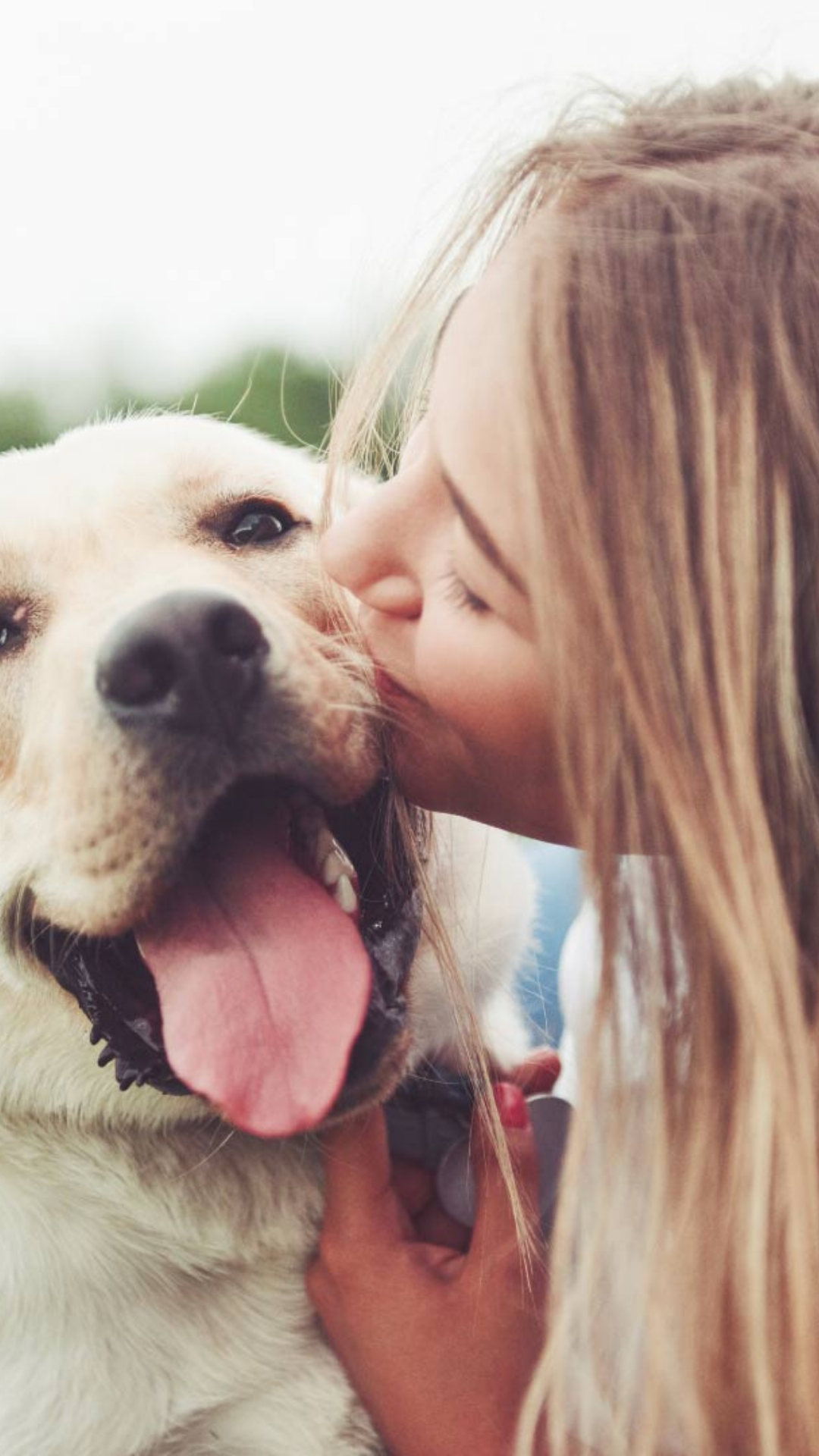 How Dogs Positively Effect Mental Health