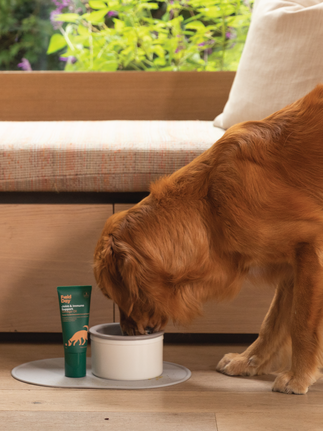 Ask the Field Day Vet: What is DHA & Why Dogs Need it in Their Diet?