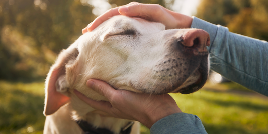 Managing Seasonal Allergies