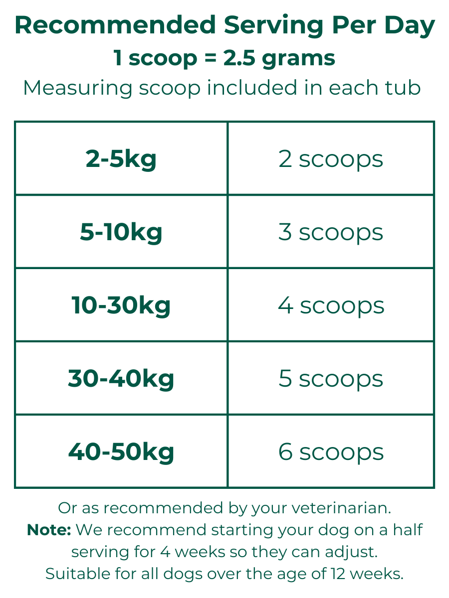 Joint Support Wholefood Powder - 220g