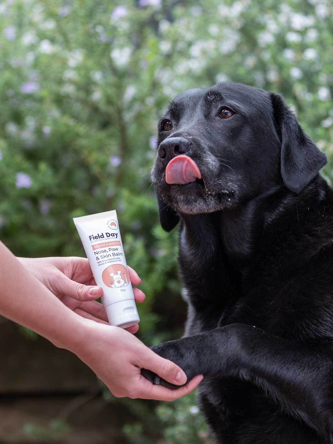 Nose, Paw &amp; Skin Balm  - 50g