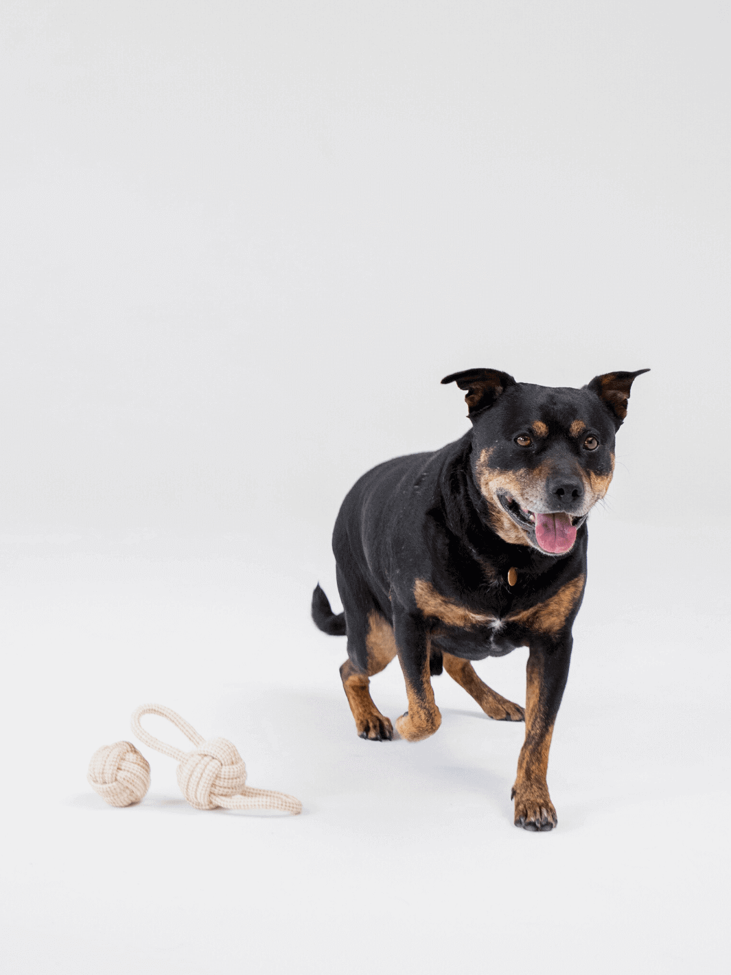 Hemp Rope Toy - Double Loop