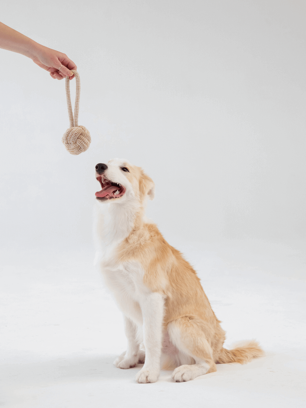 Hemp Rope Toy - Single Loop